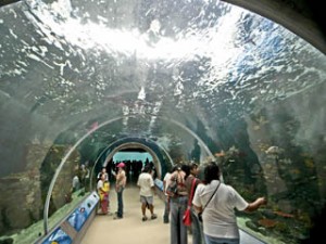 Acuario Zoológico de  Guadalajara